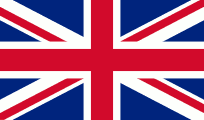 Selected language country flag image